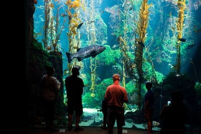 california science center_3