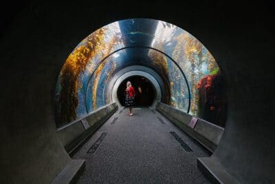 california science center_7
