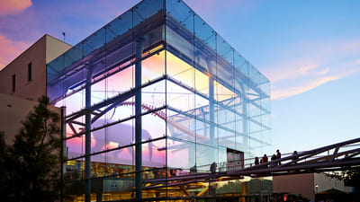 natural history museum_3