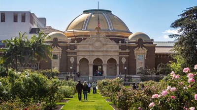 natural history museum_5