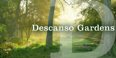 Descano-Gardens_4x2