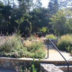 Descano-Gardens_Center-Circle