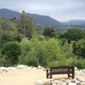 Descano-Gardens_Oak-Woodland-view