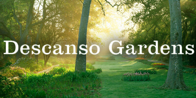 Free Day At Descanso Gardens Free2funla