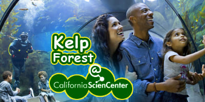 Kelp-Forest-at-CASC_4x2