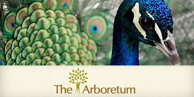 The Aborium