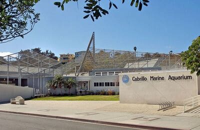 cabrillo marine aquarium_