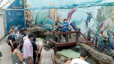 cabrillo marine aquarium_3