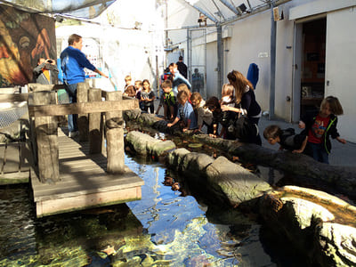 cabrillo marine aquarium_4