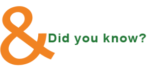 & Did you know
