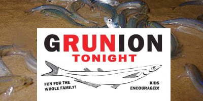 Grunion-Run_4x2
