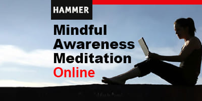 Hammer-Museum--Mindfull-Awareness-online_4x2