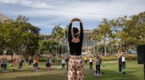 Yoga Park