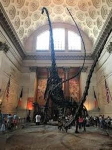 NATURAL HISTORY MUSEUMS LOS ANGELES