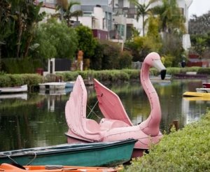 flamingo-boat