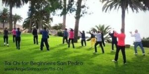 Tai Chi San Pedro