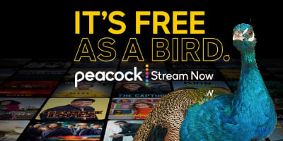 Peacock_4x2
