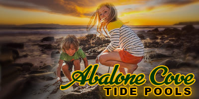 Abalone-Cove