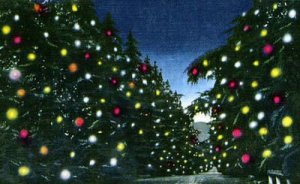 Christmas Tree Lane Altadena_01