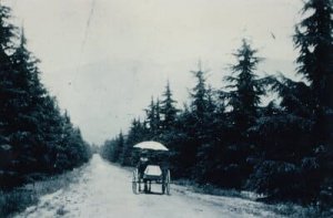 Christmas Tree Lane Altadena_06 Carriage