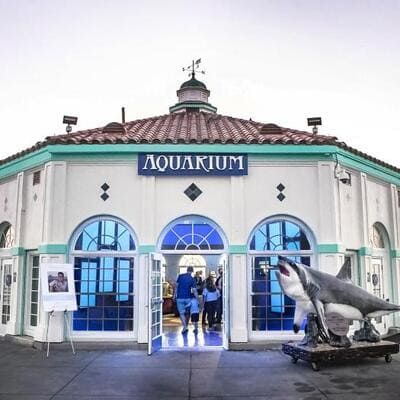 Roundhouse Aquarium_