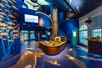 Roundhouse Aquarium_3