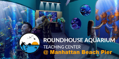 Roundhouse-Aquarium_4x2