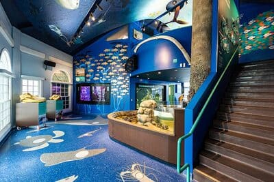 Roundhouse Aquarium_5