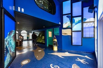 Roundhouse Aquarium_7