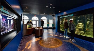 Roundhouse Aquarium_8