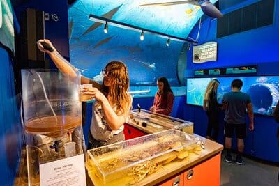 Roundhouse Aquarium_9