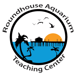 roundhouse aquarium (1) (1)