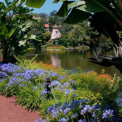 LS_BestOf203-1024x1024