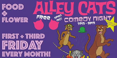 Alley-Cats-Comedy_4x2