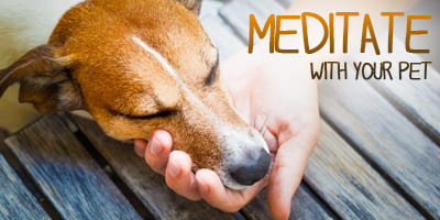 Meditate-with-Your-Pet_4x2