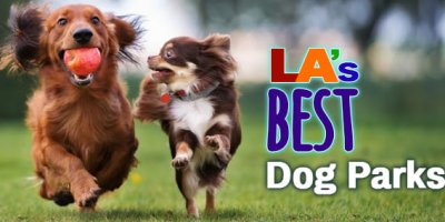 POST-LA's-Best-Dog-Parks