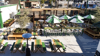 brennans_patio_turtle racing