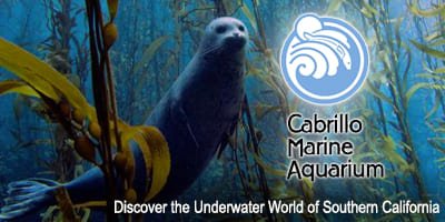 cabrillo-marine-aquarium_4x2