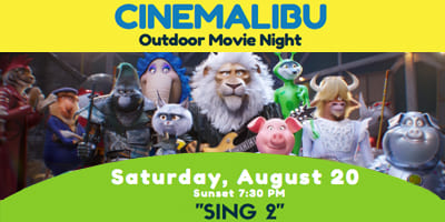 Cini-Malibu_Sing-2_4x2