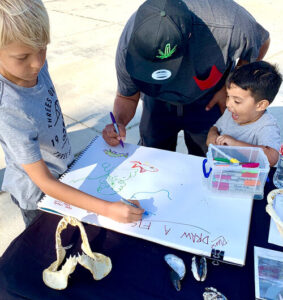 ExperientailLearnin-smlr