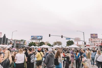 venice summer fest 2