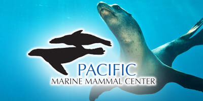 Pacific-Marine-Mamals-Center_4x2