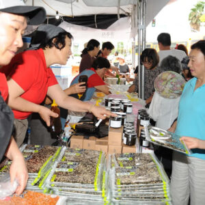 festival of shopping