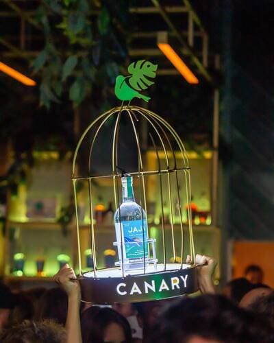 canary_sm