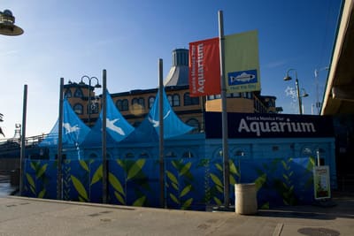 heal the bay aquarium