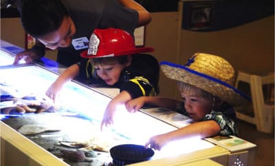 heal the bay aquarium_3