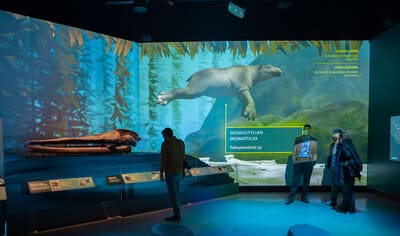 L-A-Underwater-NHM-Exhibit
