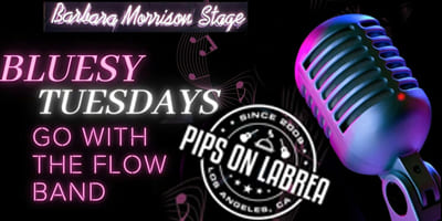 Pips-Bluesy-Tuesday_4x2