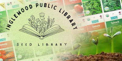 IPL-Seed-Library_4x2