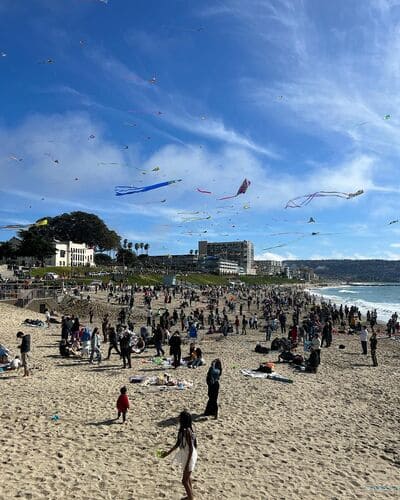 festival of kite_redondo beach